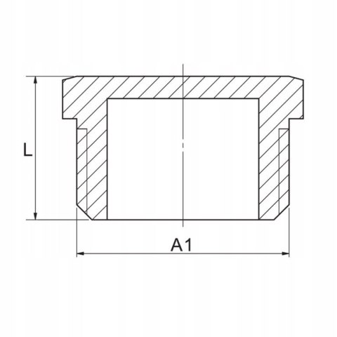 Korek mosiężny GZ 1/2" DN15 Korek mosiężny GZ 1/2" DN15