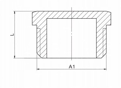 Korek mosiężny GZ 1" DN25 Korek mosiężny GZ 1" DN25