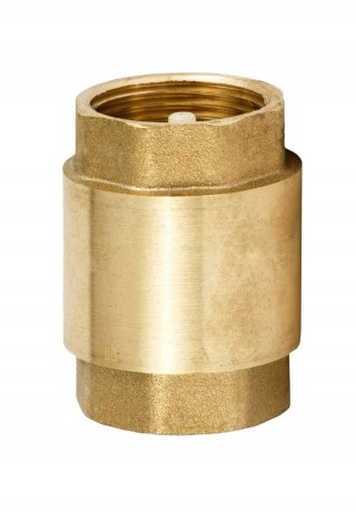 Zawór zwrotny 2" DN50